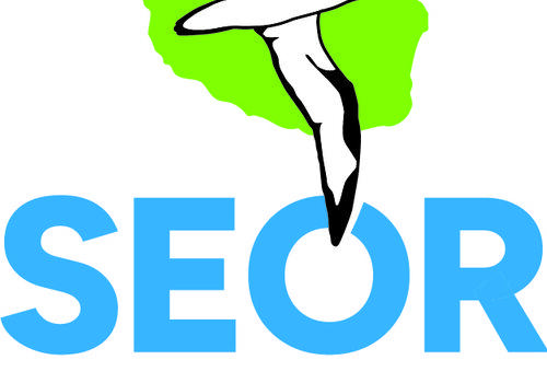 Nos oiseaux, nos héros Logo de la SEOR