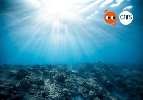 Scannez les fonds marins ! Scannez les fonds marins !