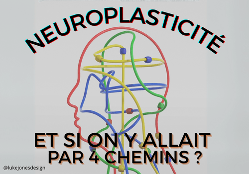 Neuroplasticité ; et si on y allait par 4 chemins ? Profil d'un humain réalisé avec un labyrinthe à perles