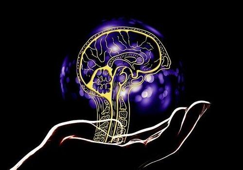 Conférence animée sur l'histoire de l'intelligence