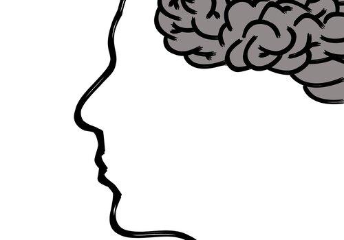 cerveau