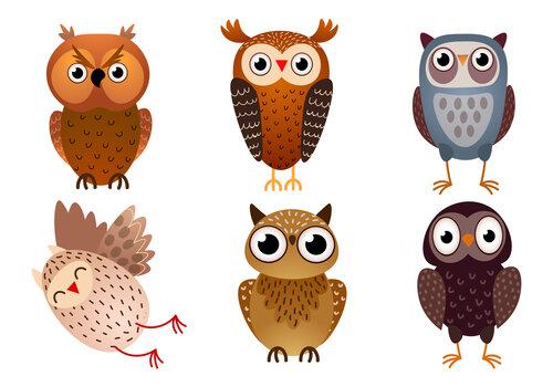 dessins d'hiboux