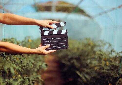 Clap de cinéma dans une serre