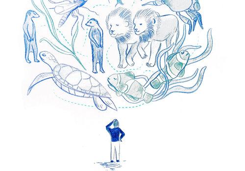 La loi du plus fort n'existe pas ! Dessin sur lequel on voit un homme de dos qui se gratte la tête. Au-dessus de lui dans une bulle sous un arbre des lions, un crabe, des poissons clowns vivent en harmoniel