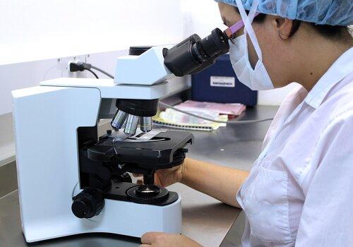 microscope