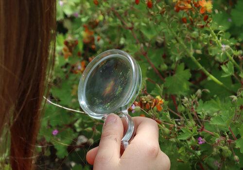 Un main d'enfant tenant une loupe devant un bosquet vert fleuri de fleurs oranges, la chevelure marron apparait sur la gauche de l'image