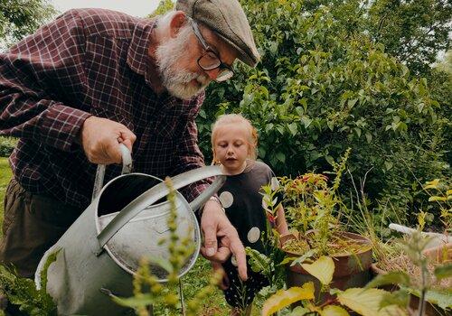 Un vieil homme et une petite fille arrosent des plantes