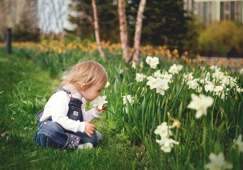 Un enfant assis sur l'herbe sent une fleur blanche