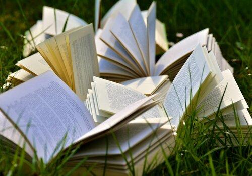 Livres posés sur l'herbe