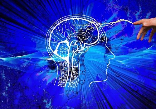 intelligences