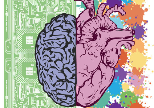 Cerveau et coeur