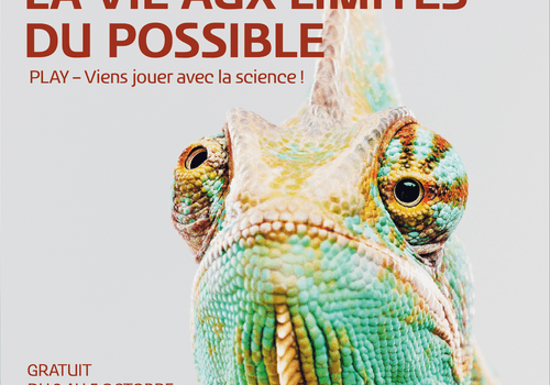 Play  ▶ La vie aux limites du possible