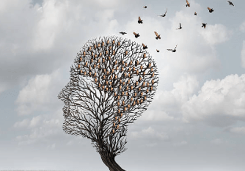 L'intelligence du vivant