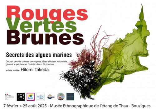 Affiche de l'exposition lorsqu'elle était à Bouzigues, au Musée de l'étang de Thau