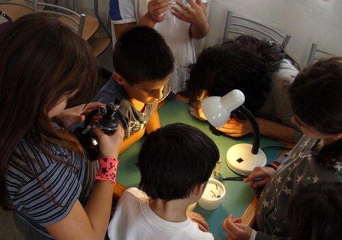 animation microscope
