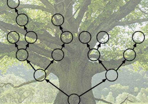 Généabulles - Créer son arbre insolite