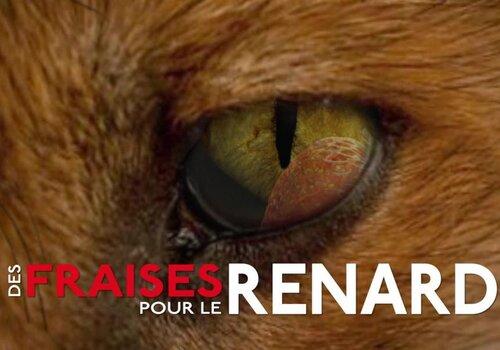 DES FRAISES POUR LE RENARD DES FRAISES POUR LE RENARD