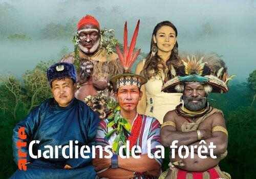 Les gardiens de la forêt Les gardiens de la forêt