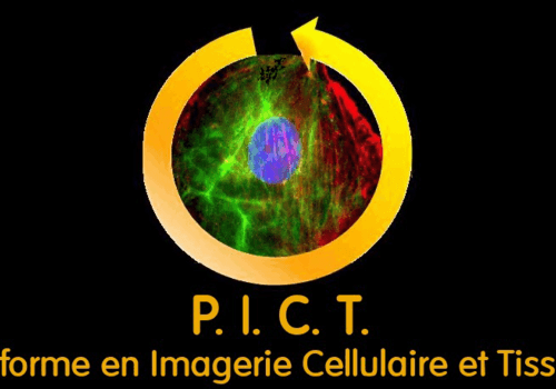 URCATech-Pict 