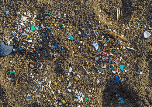 microplastiques