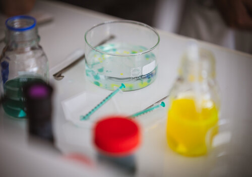 Atelier scientifique 