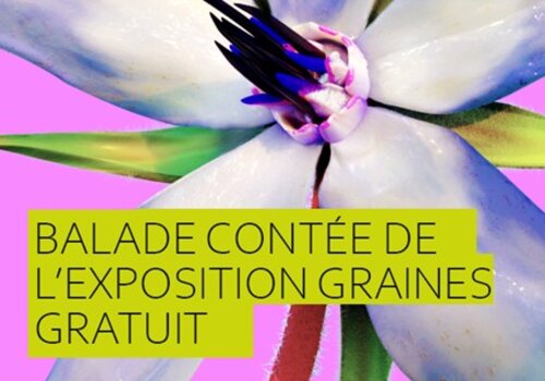 fleur, avec écrit "balade contée"