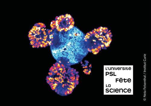 Image de la fête de la science 2025 à l'Institut Curie
