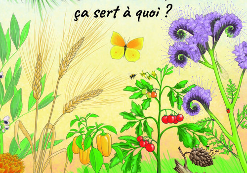 La biodiversité, ça sert à quoi ? La biodiversité, ça sert à quoi ?