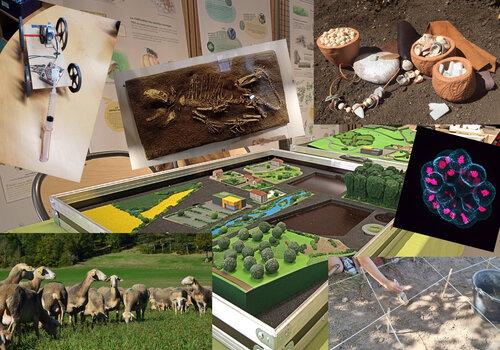 Montage de photos évoquant les activités présentes le jour J (robot, fouilles et vestiges archéologiques, photo de microscopie, moutons...)