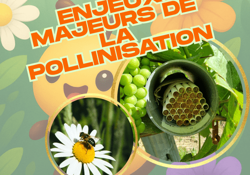 Conférence Conférence