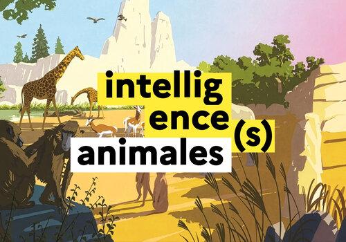Jeu-concours Intelligences animales