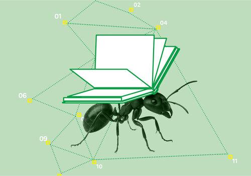 Ressources Fête de la science 2025