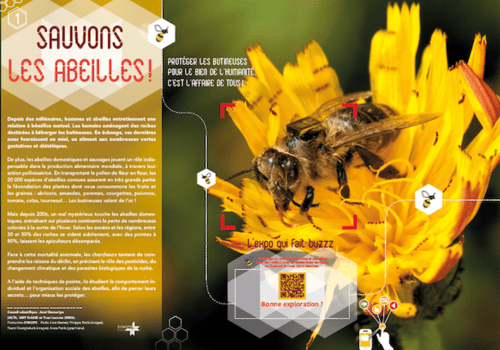 abeille