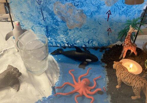 maquette des courants atmosphériques avec une zone froide et une zone chaude, des animaux sur chaque zone, des flèches pour montrer les courants.