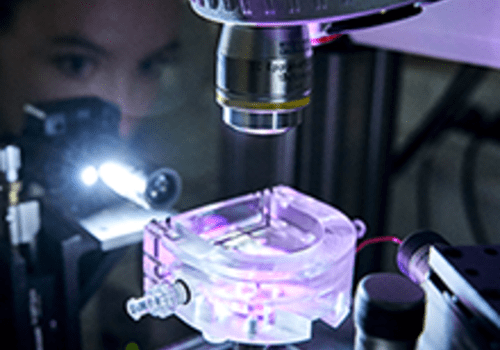 Expériences scientifiques Expérience couplant optique et microfluidique pour l'observation biologique