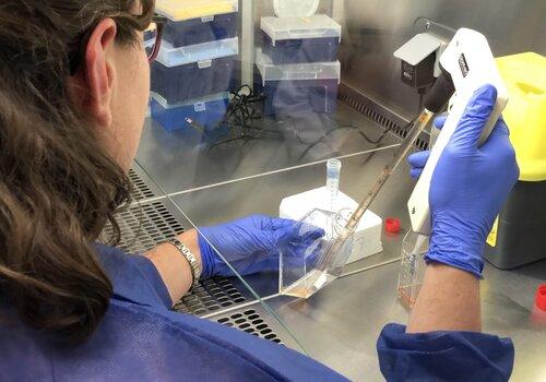 femme-pipette-recherche