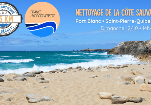 Nettoyage de Plage - Réserve de vagues de Saint-Pierre-Quiberon