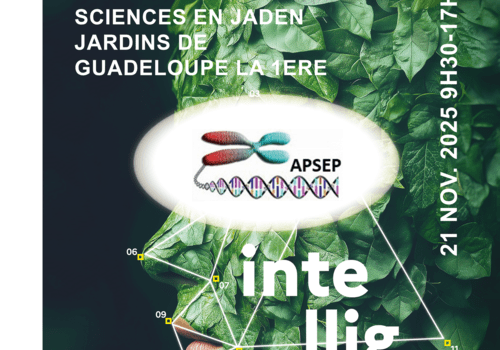 Sciences en Jaden