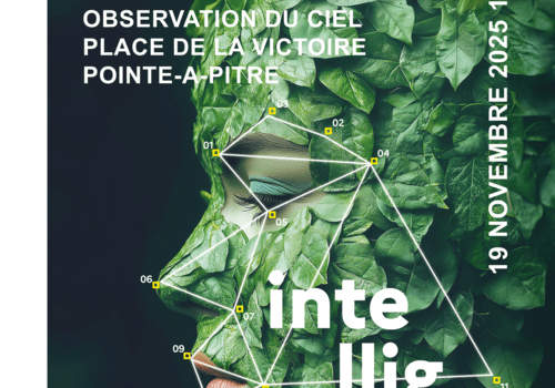 Observation du ciel nocturne
