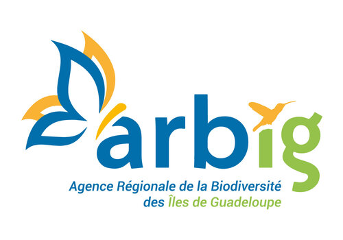 ARBIG ARBIG