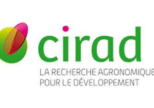 CIRAD CIRAD