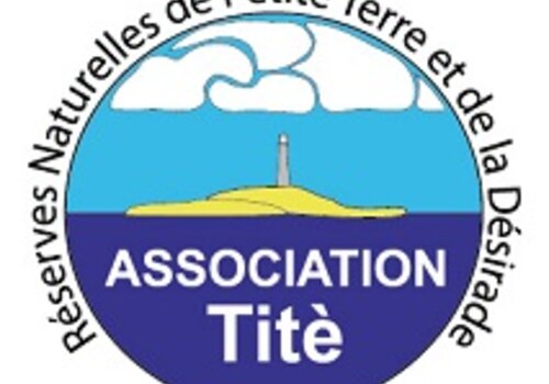 Titè Titè