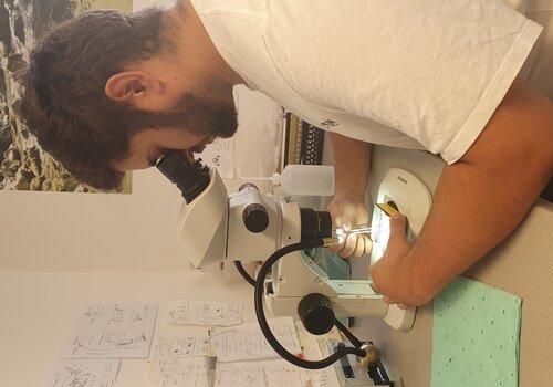 Détermination au laboratoire