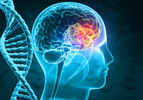 Génétique & Troubles du neurodéveloppement