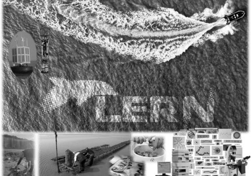 Montage de photographies d'activités de l'Ifremer au LER/N (2026)