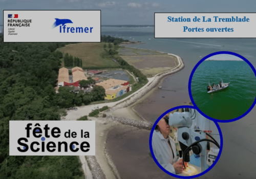 Station Ifremer de La Tremblade (17)