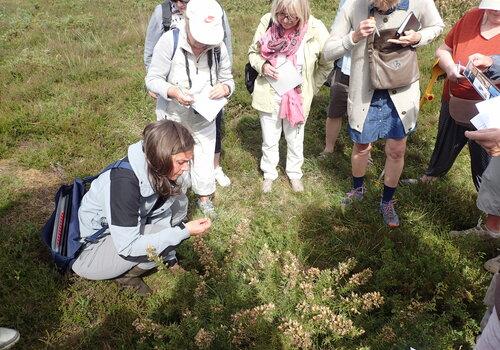 Observation sur le terrain