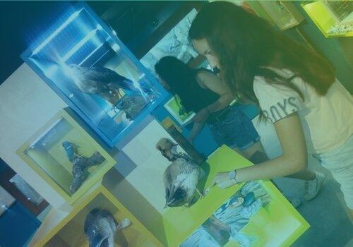 Escape game "Menace sur le lac"