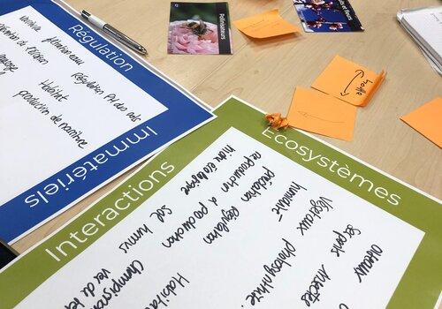 Cartes pour un atelier domino de la biodiversité