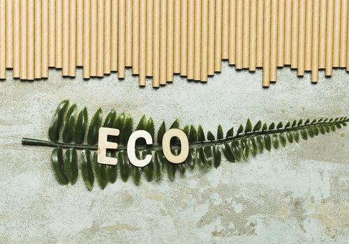 Mur écologique